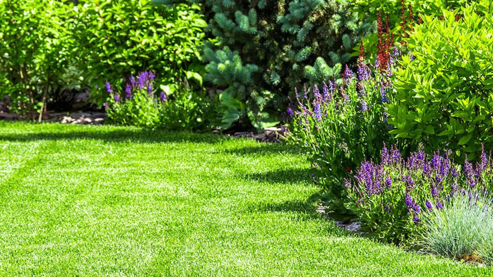 Full-Service Maintenance Programs: A Worthwhile Investment?