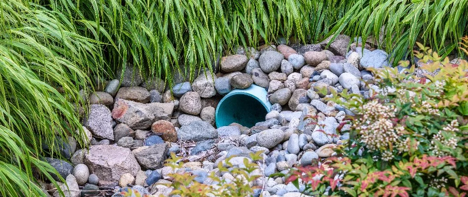 End of a French drain pipe under rocks and grass in Cary, NC.