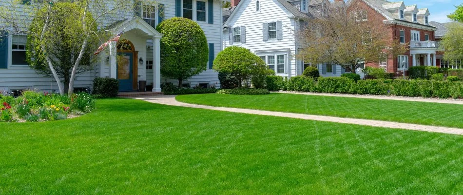 Yard in Cary, NC, with healthy grass and lush plants.