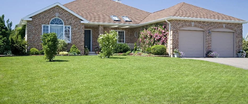 Healthy lawn and plants in front of a house in Pittsboro, NC.