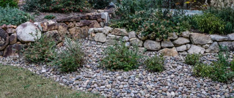 Landscape bed in Cary, NC, with plants and rocks.