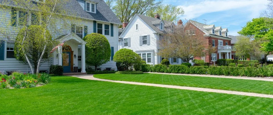 Manicured property in Carrboro, NC.