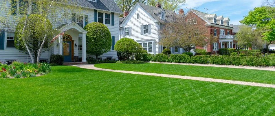 Mowed lawn on a residential property in North Carolina.