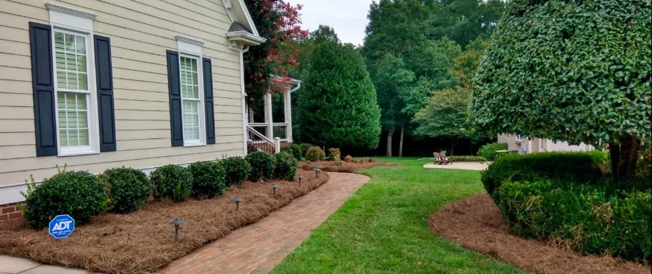 Trimmed trees near a walkway on a property in Oak Grove, NC.