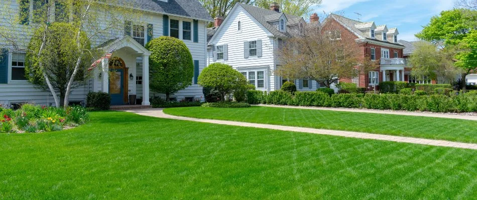 Weed-free lawn on a residential property in Cary, NC.